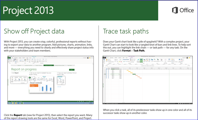 Project 2013 - Reporting and Task Paths